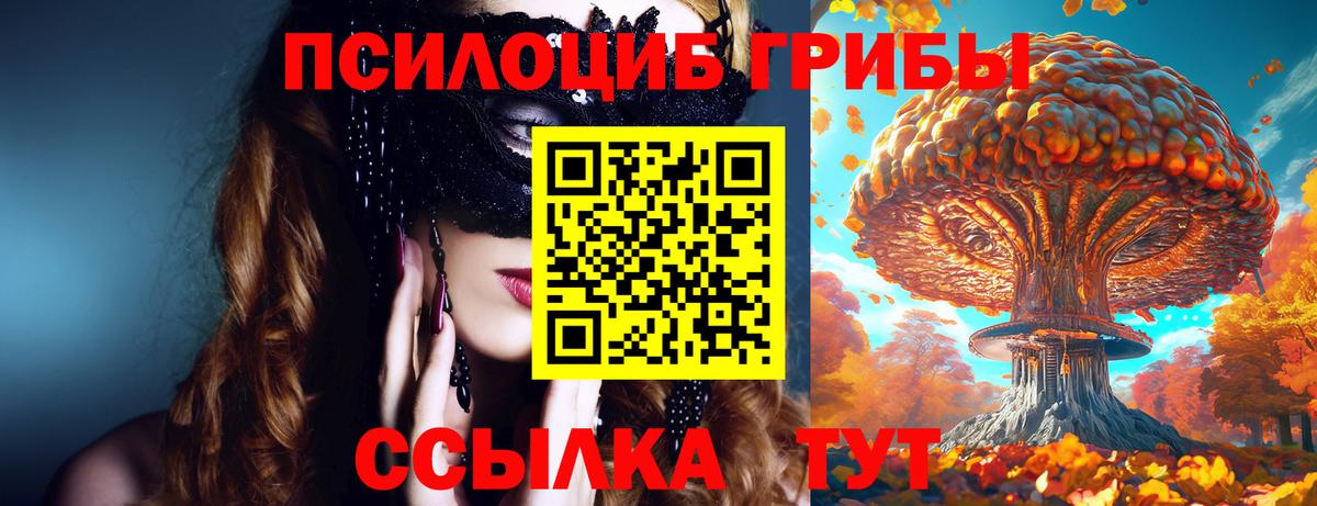 Псилоцибиновые грибы MAGIC MUSHROOMS  Вход с VPN  Кашира  Галлюциногенные грибы мухоморы 