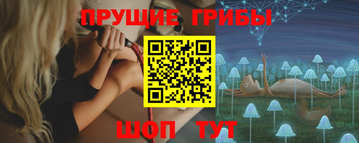 Галлюциногенные грибы Psilocybe Кашира